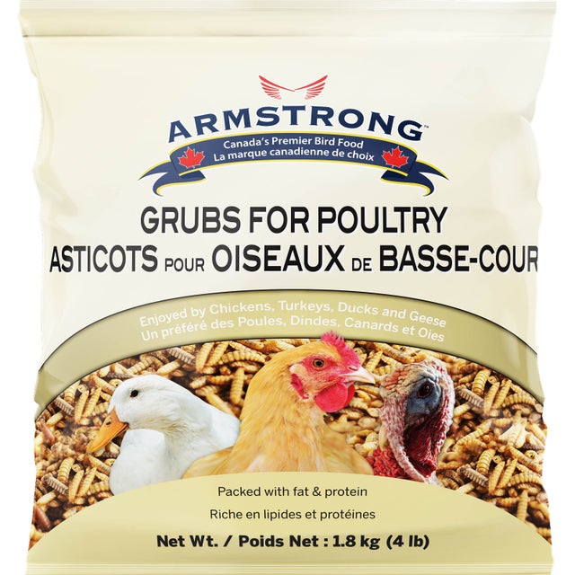 ARMSTRONG MILLING Graines de tournesol noir Armstrong 16 kg pour oiseaux  sauvages